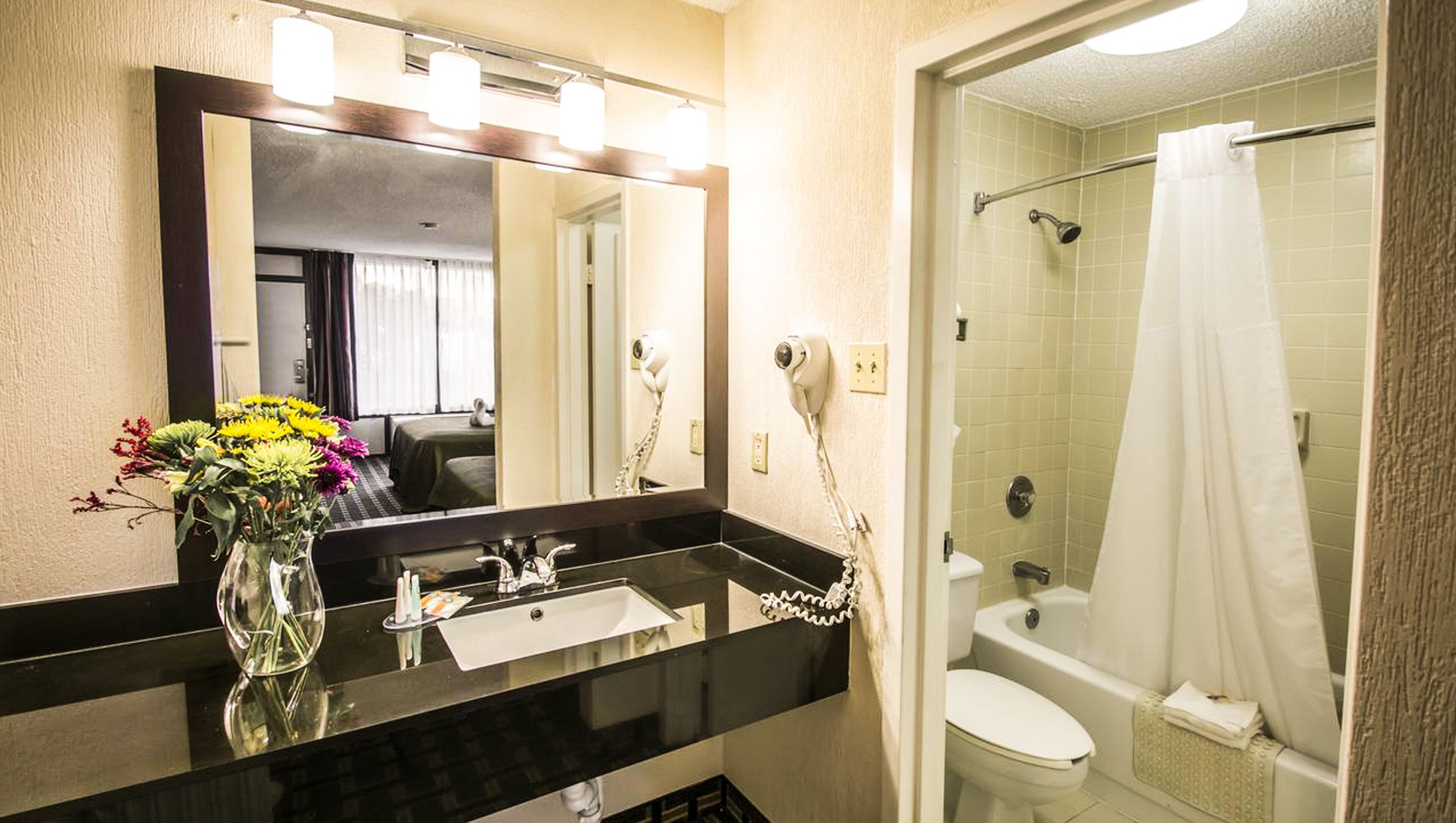 Une salle de bain avec un lavabo noir, un miroir, un sèche-cheveux et une douche avec un rideau.