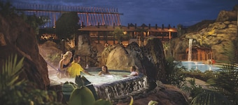 Disney's Polynesian Village Resort