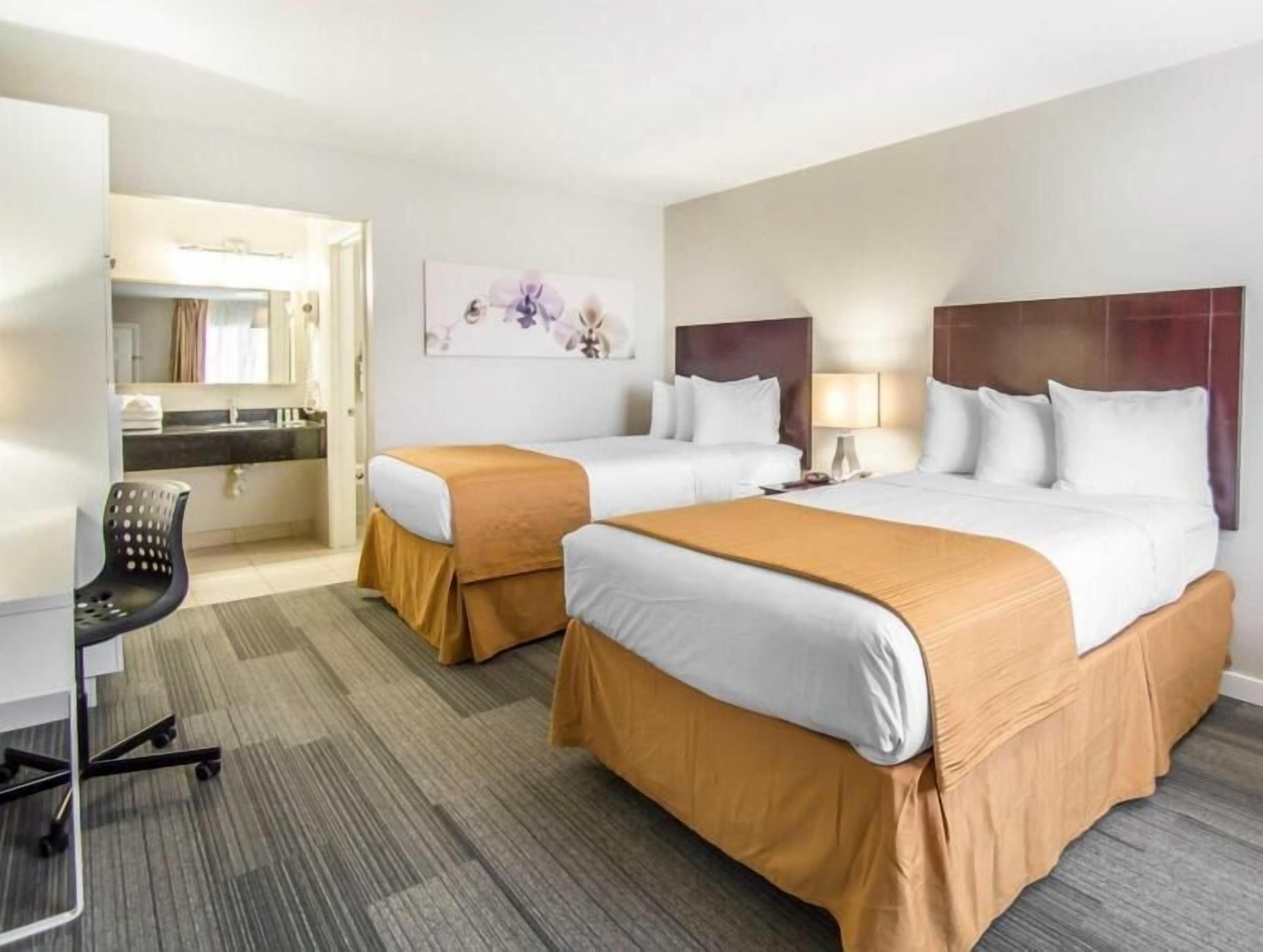 Premium bedding, desk, iron/ironing board, free WiFi