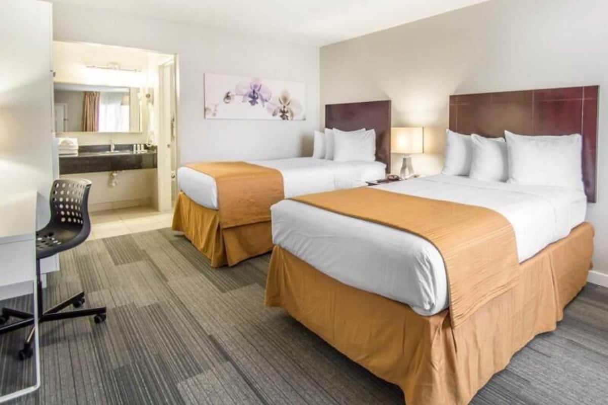 Premium bedding, desk, iron/ironing board, free WiFi
