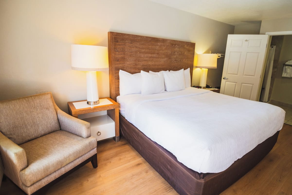 Premium bedding, desk, iron/ironing board, free WiFi