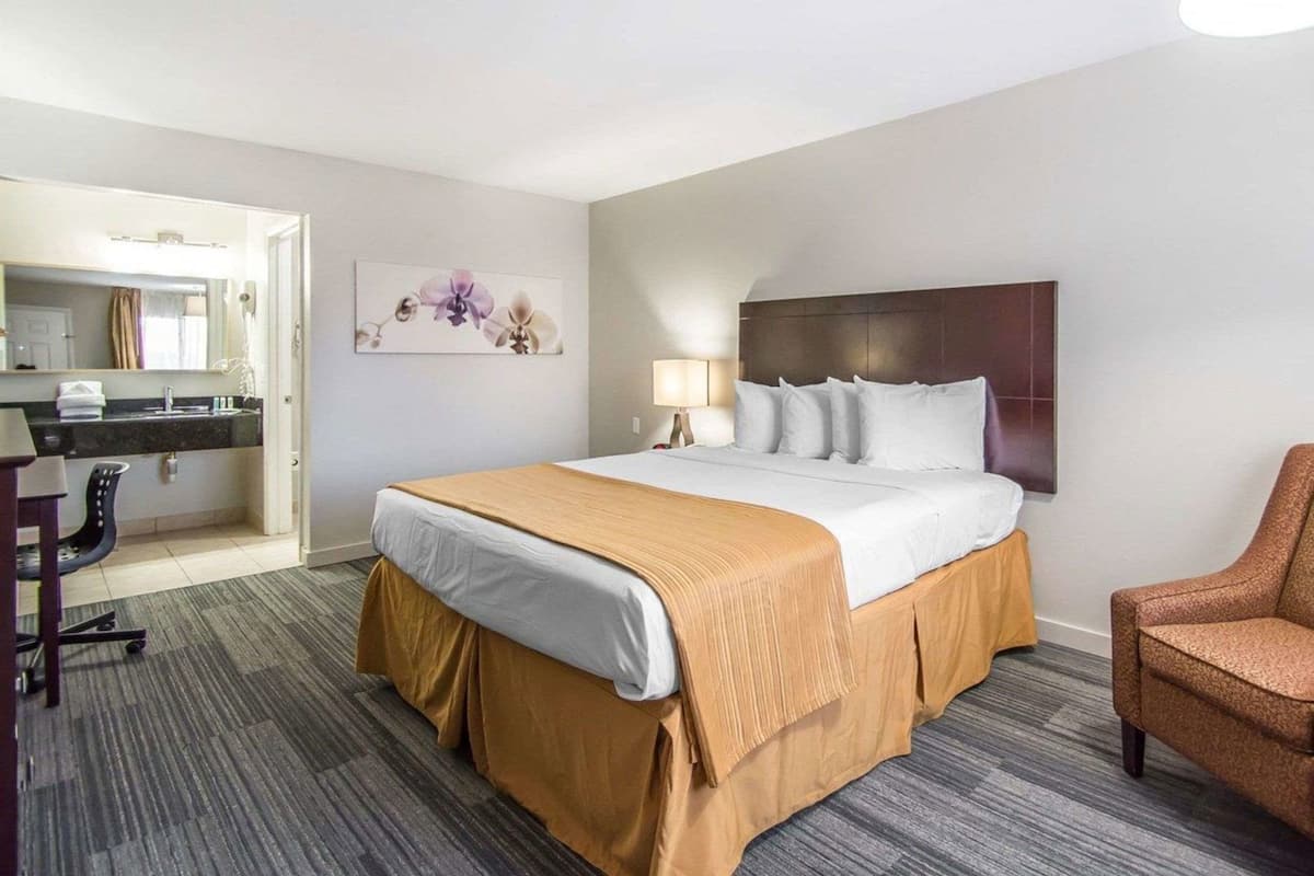 Premium bedding, desk, iron/ironing board, free WiFi