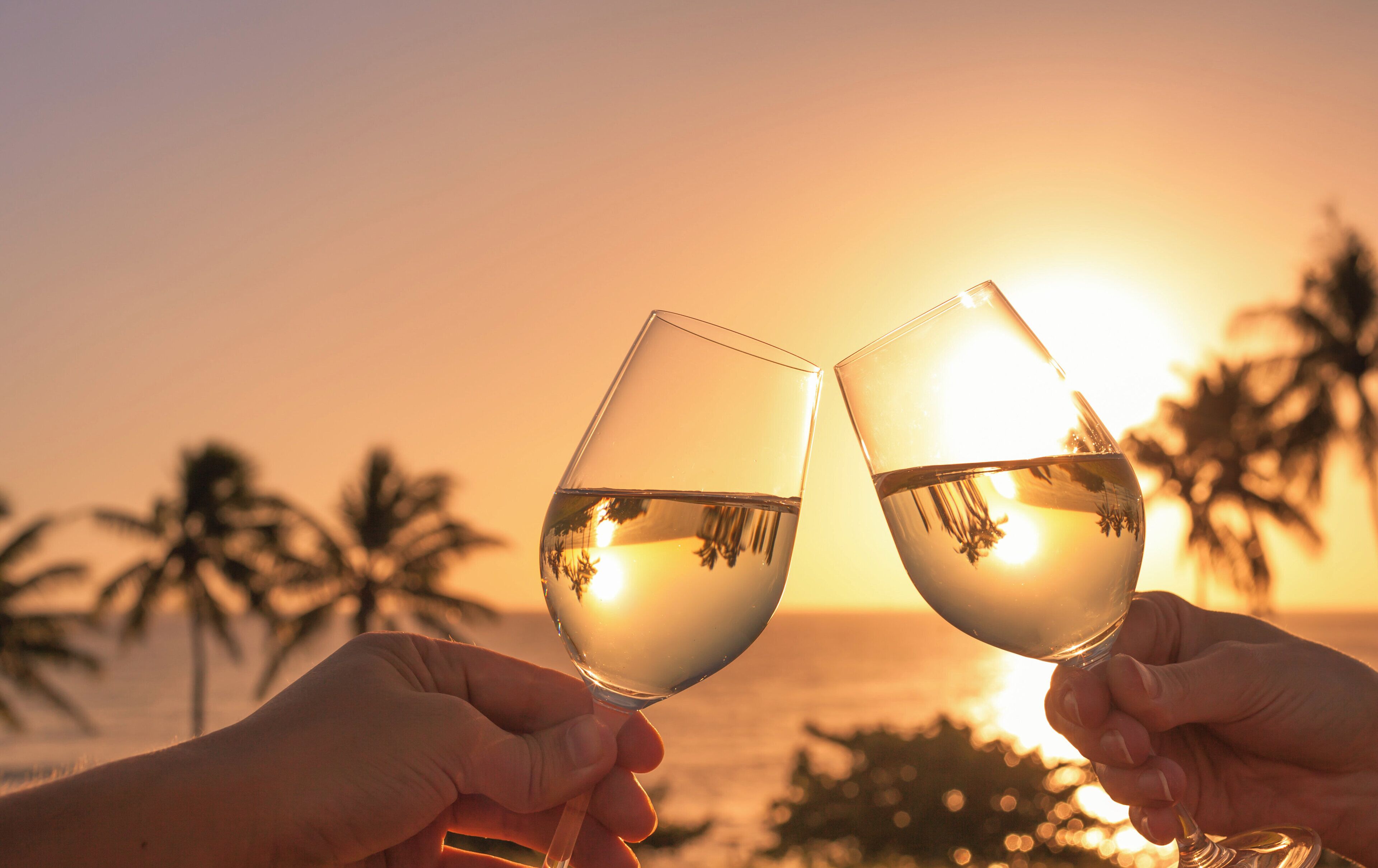 Deux mains tenant des verres de vin, avec un coucher de soleil et des palmiers en arrière-plan.