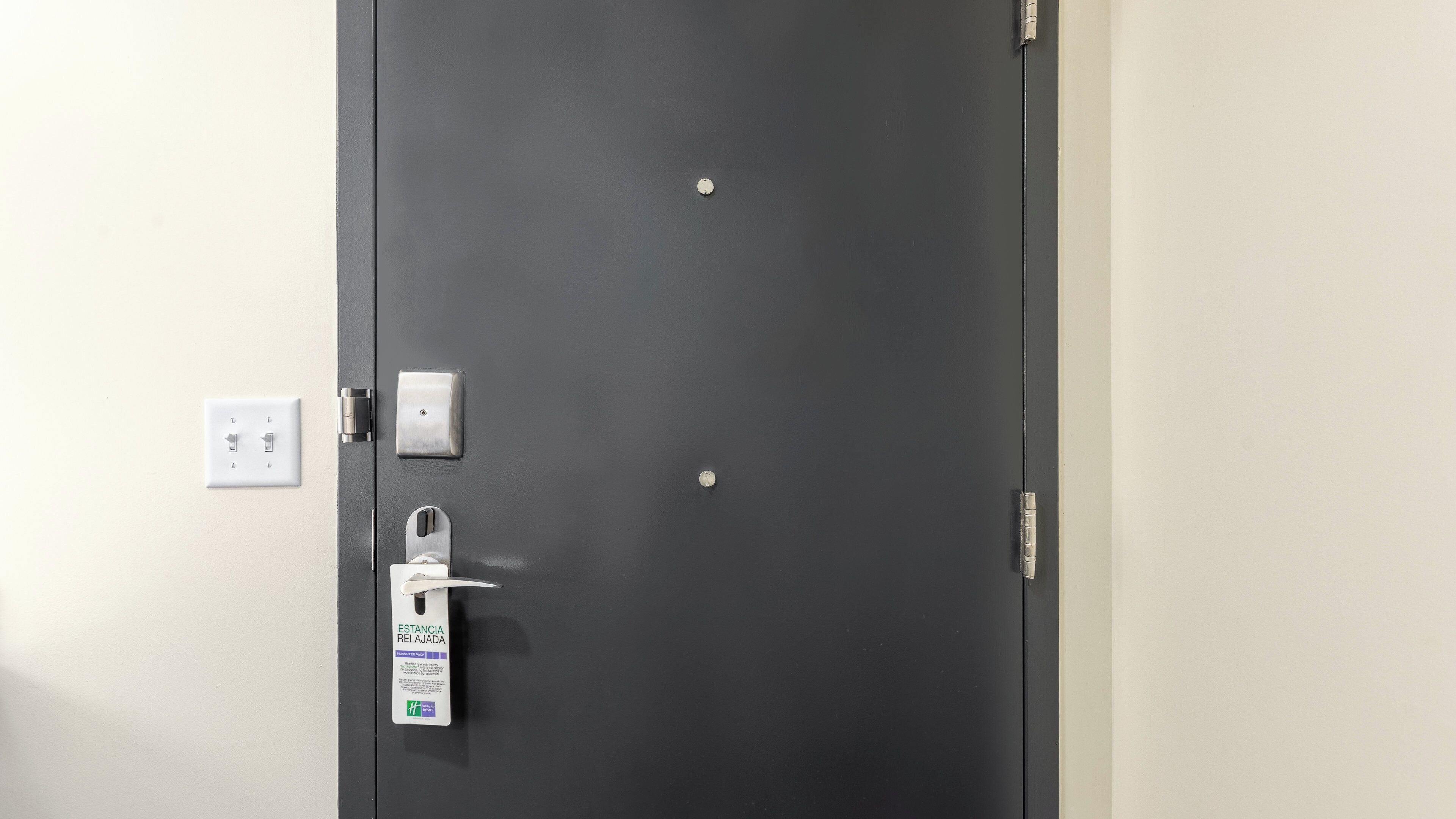 Una puerta gris oscuro con cerradura, una manija y un cerrojo. Hay un interruptor blanco en la pared a la izquierda.