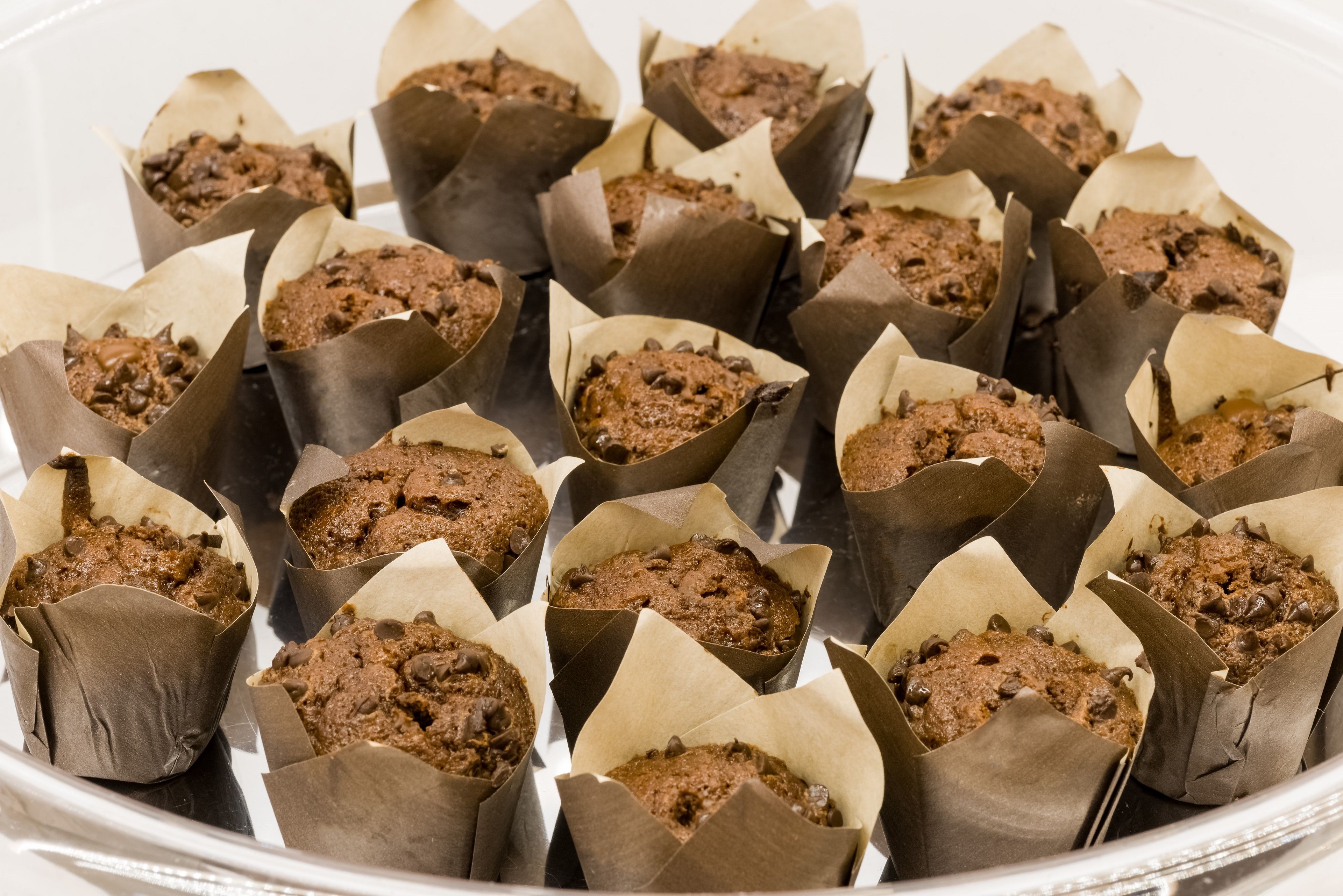 A tray of chocolate chip muffins in paper liners.