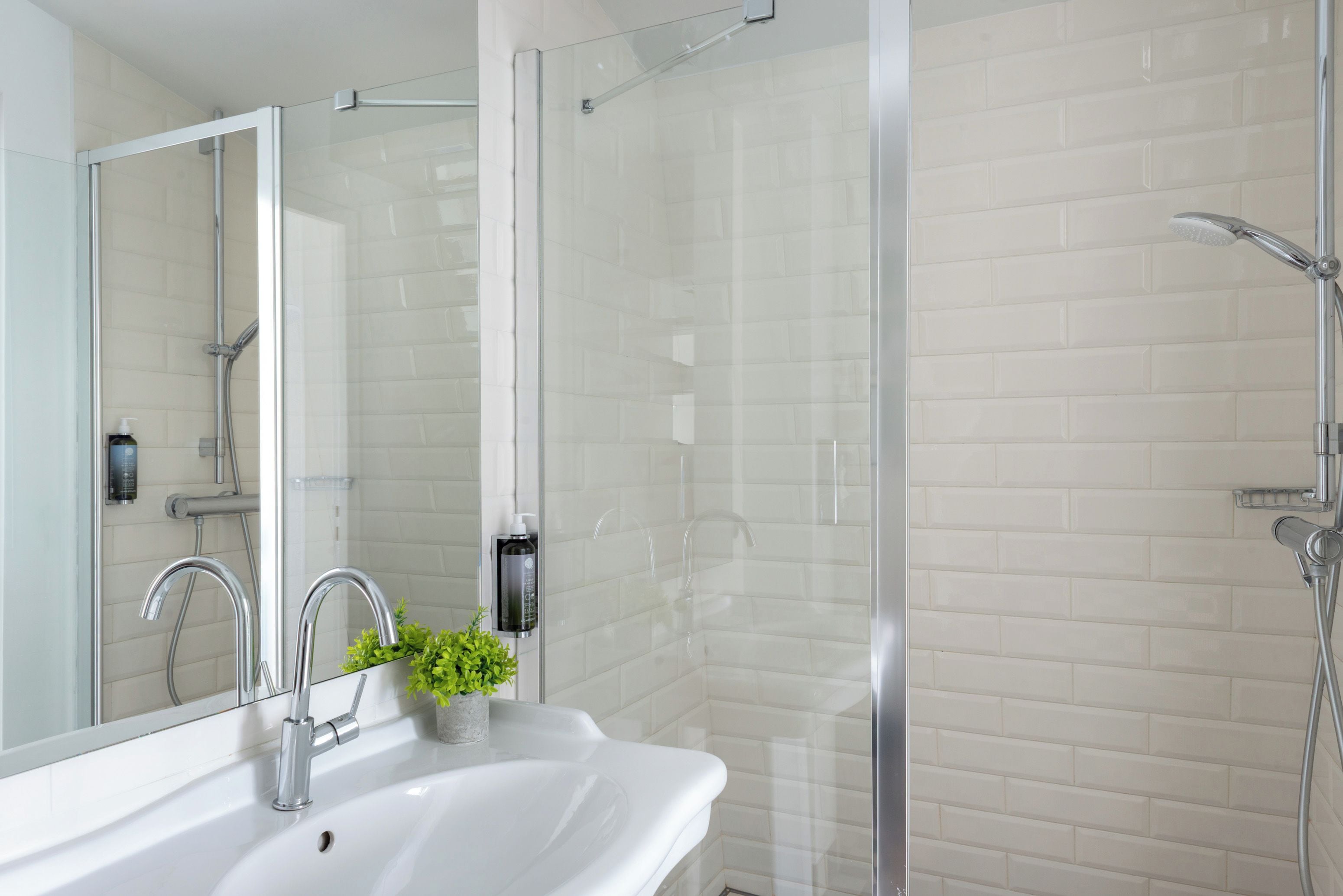 A modern bathroom with a glass shower enclosure, a white sink with a mirror, and a small plant on the counter.