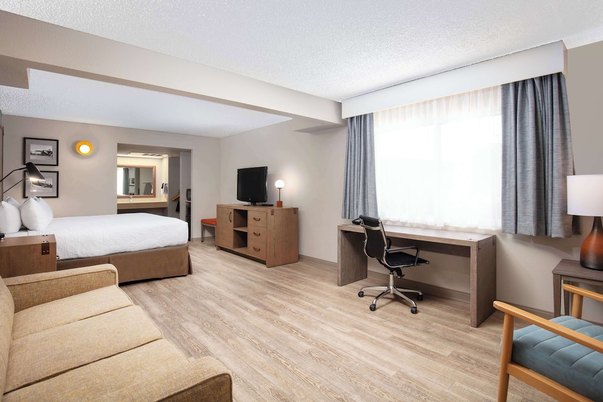 standard room, 1 king bed, accessible, non smoking (larger room;with sofabed) | 1 bedroom, in-room safe, individually decorated, desk