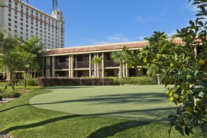 Mini-golf