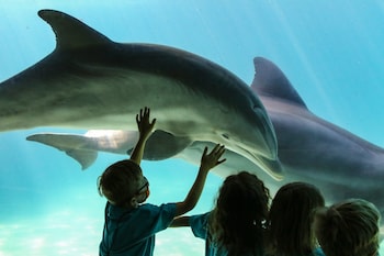 Point of interest at DoubleTree by Hilton Orlando Theme Park Resort