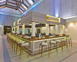 3 bar/lounge, bar a bordo piscina