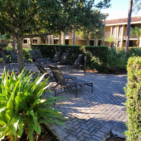 DoubleTree by Hilton Hotel Orlando at SeaWorld - Image 75