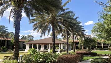 A pathway leading to a building with a covered patio area, surrounded by palm trees and well-maintained landscaping.
