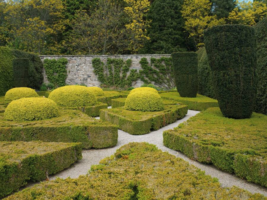 A formal garden with geometric hedges and a gravel path.