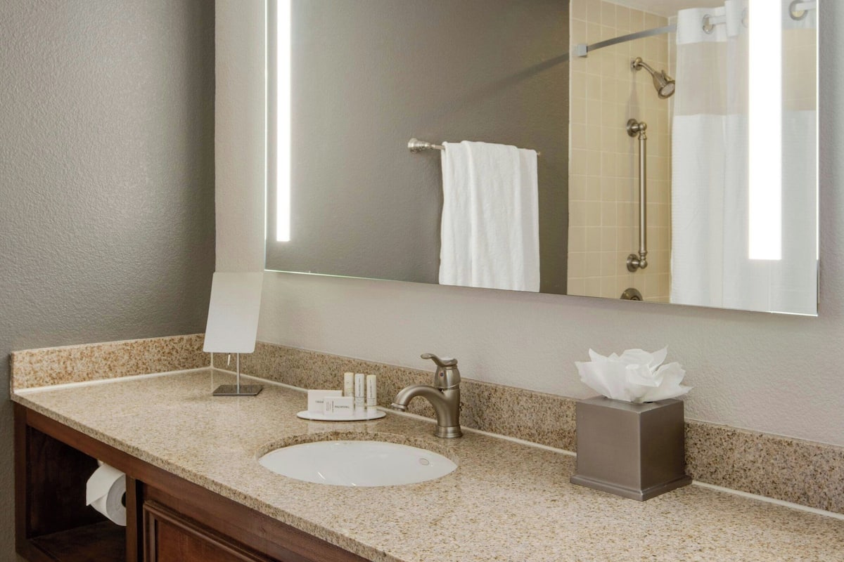 room, 1 king bed with sofa bed, non smoking | bathroom | free toiletries, hair dryer, towels