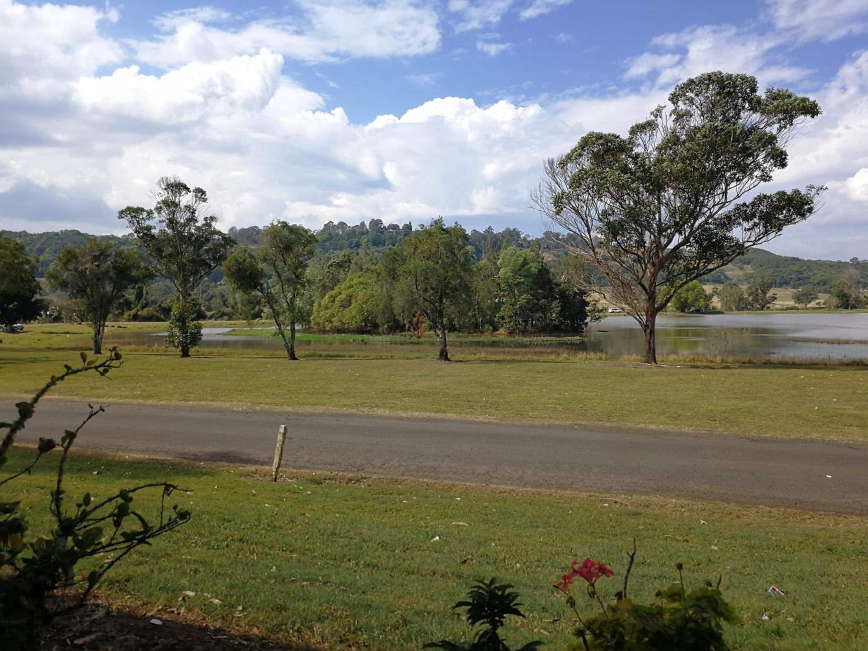 A road with a grassy area and trees on the side.