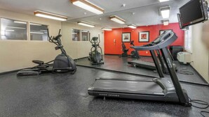 A gym with treadmills, stationary bikes, and elliptical machines.