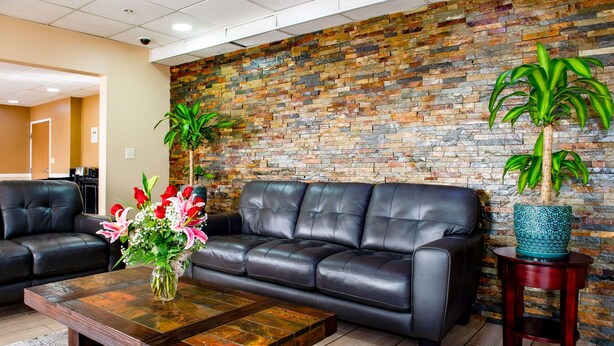Ảnh chưa phân loại, 1 trong số 49 ảnh, nút