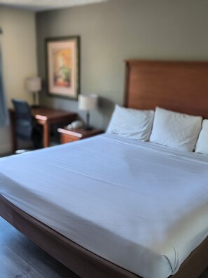 Escritorio, tabla de planchar con plancha, wifi gratis y ropa de cama