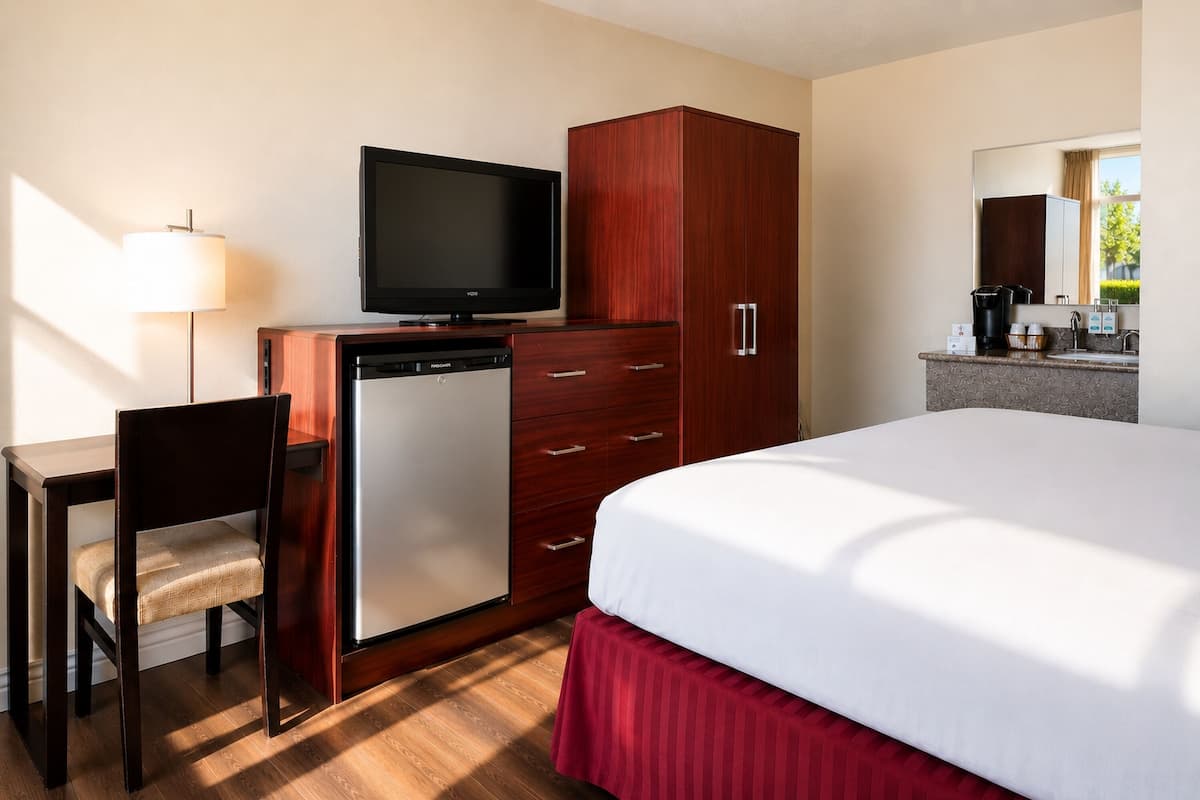 A hotel room with a bed, a desk with a chair, a television, a wardrobe, a small refrigerator, a mirror, and a window.