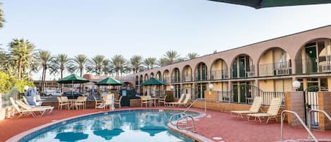 Outdoor pool, a heated pool, pool loungers