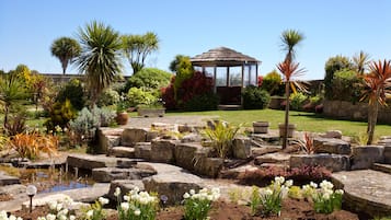 Outdoor wedding area