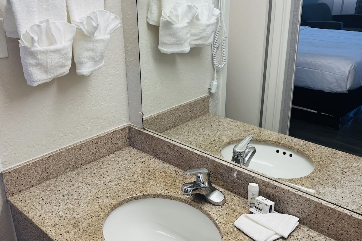 combined shower/bathtub, free toiletries, hair dryer, towels