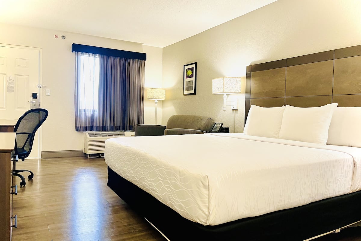 Literie de qualité supérieure, couette en duvet d'oie, bureau