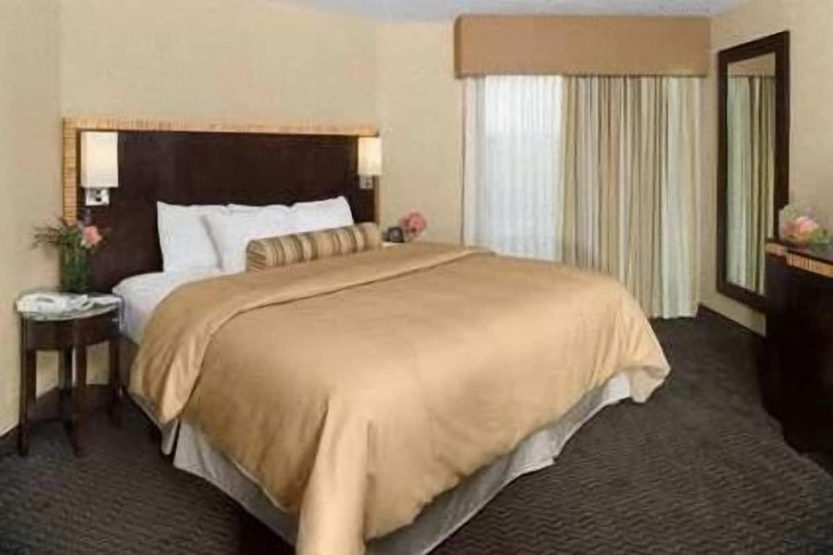 A hotel room with a large bed, a bedside table with a lamp, a mirror, and a window with curtains.