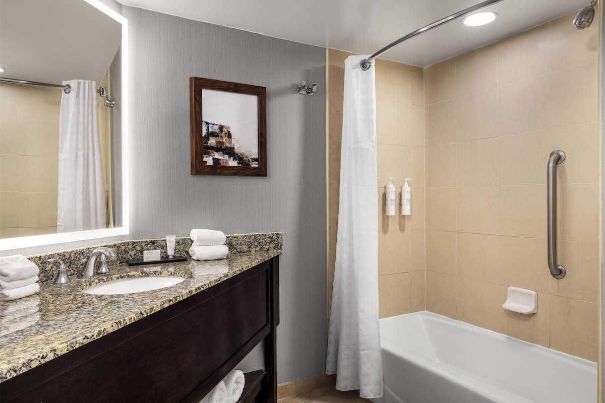 A modern bathroom with a granite countertop sink, a large mirror, a framed picture, a shower with a handheld showerhead, and a bathtub.