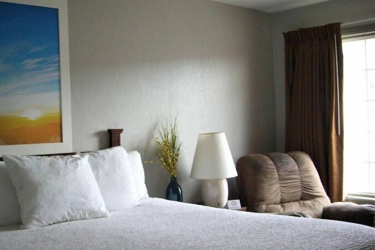 Una habitación de hotel con cama, almohadas, mesita de noche, lámpara, silla, un jarrón con plantas y un cuadro en la pared.