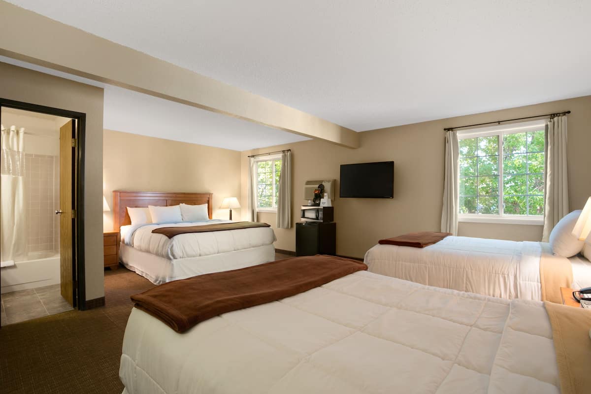 Una habitación de hotel con dos camas, televisión, ventana con cortinas y baño con ducha.