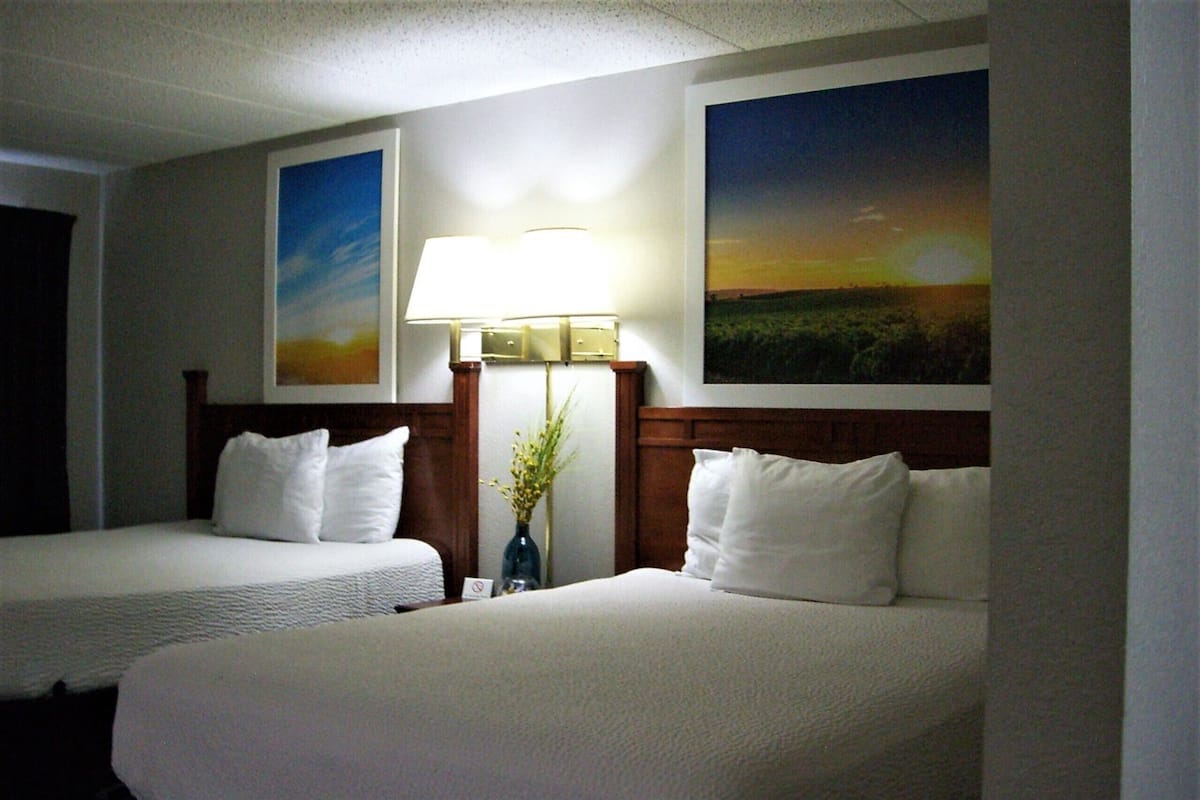 Habitación de hotel con dos camas, una mesita de noche con lámpara y dos grandes cuadros de paisajes en las paredes.