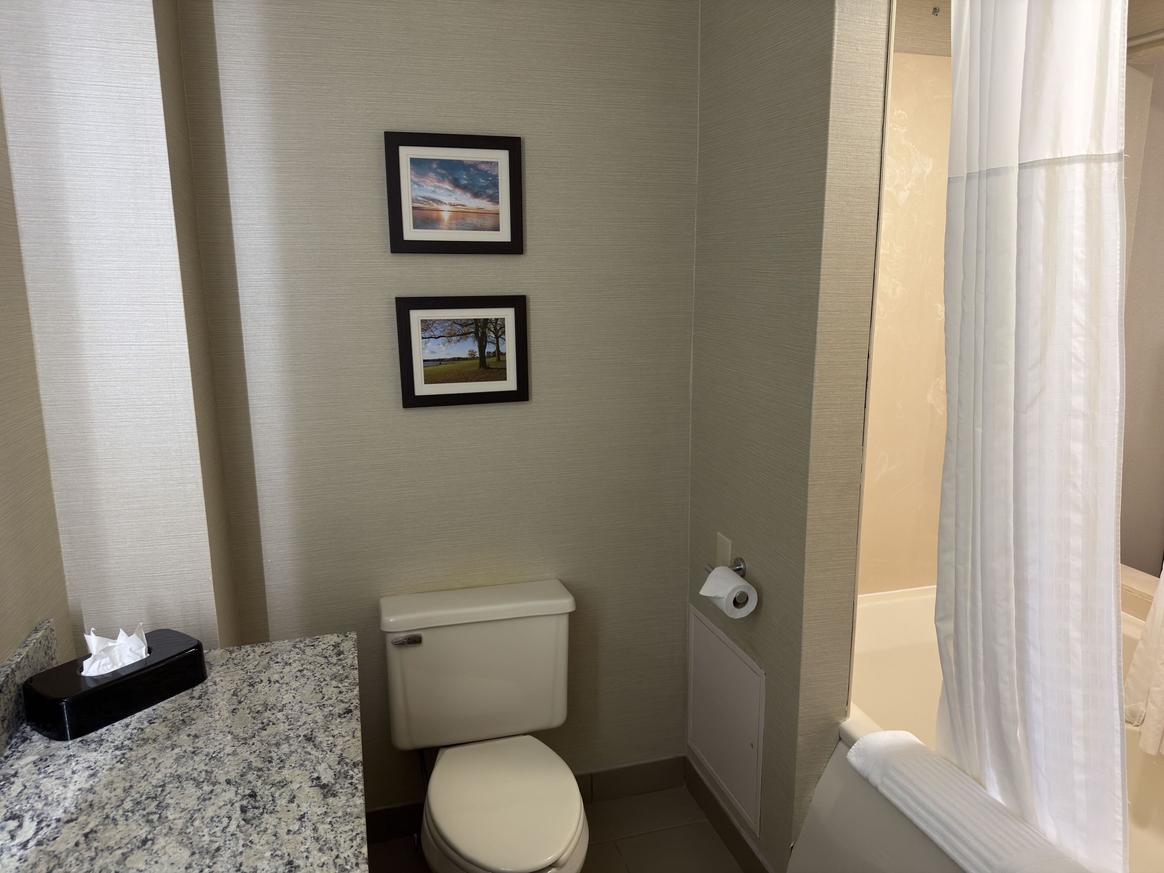 A small bathroom with a toilet, two framed pictures on the wall, a tissue box, and a shower curtain.