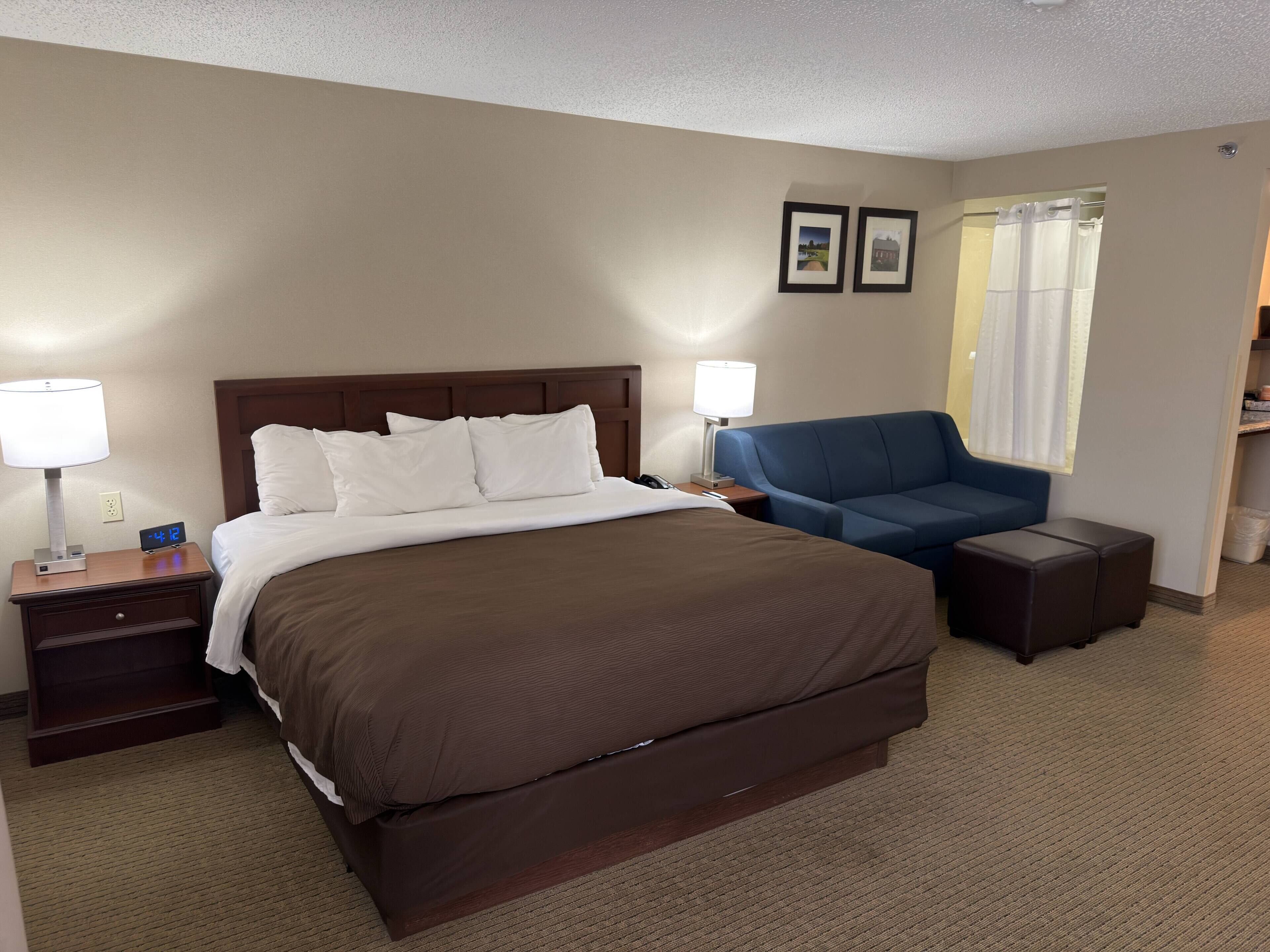 Suite, 1 King Bed, Non Smoking (Efficiency) | Premium bedding, desk, laptop workspace, blackout drapes