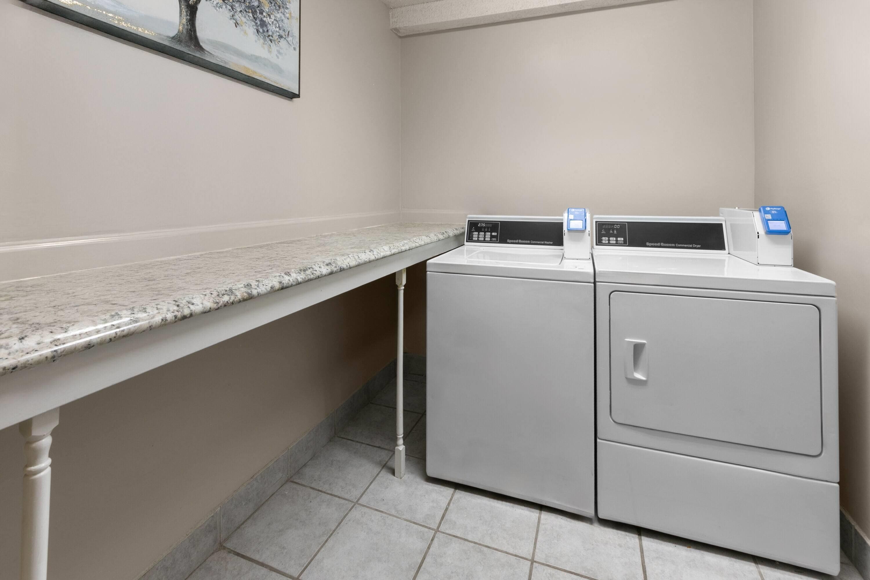 A laundry room with a washing machine and dryer, a countertop, and a wall-mounted picture.
