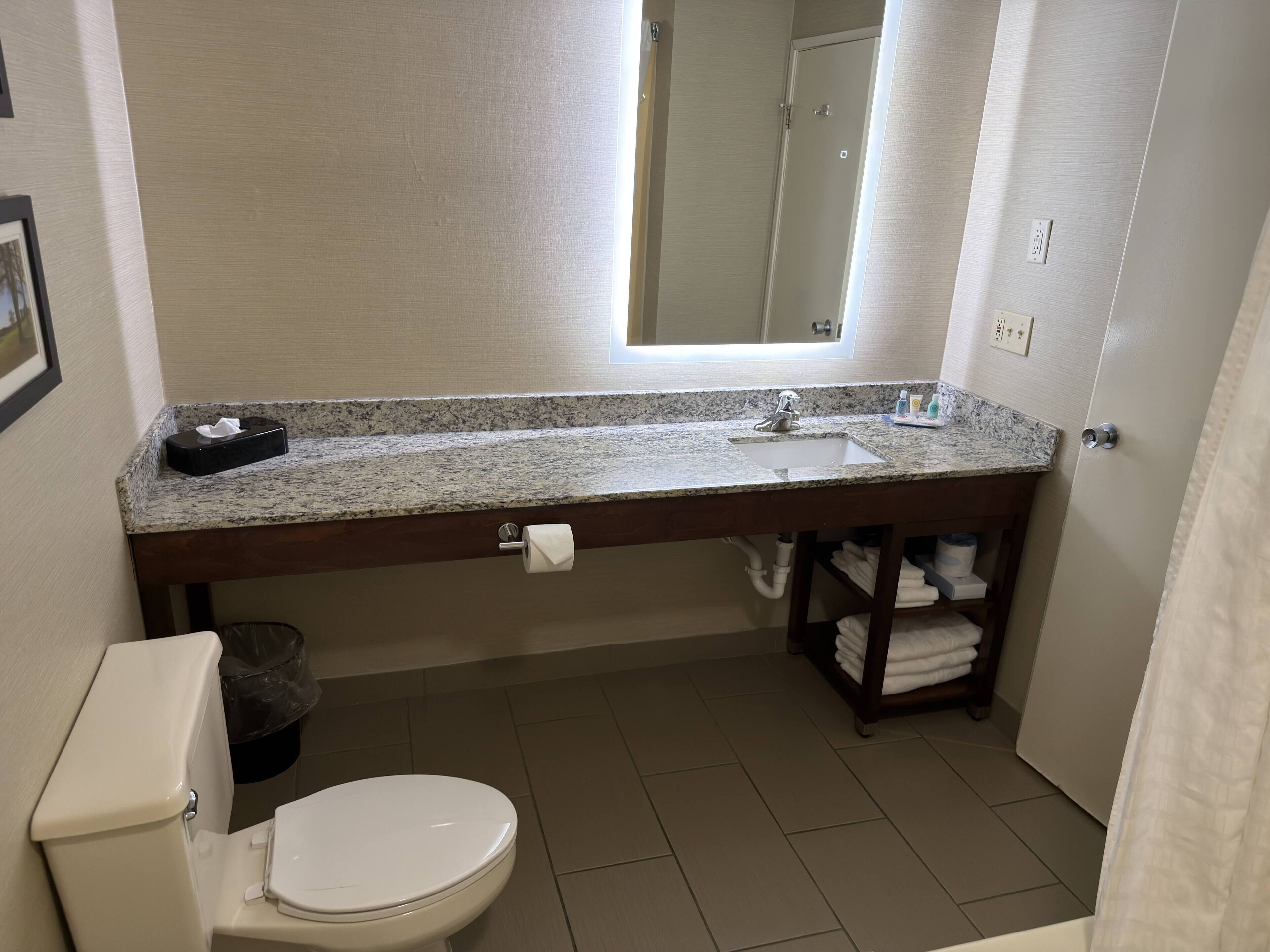 Suite, 1 très grand lit, non-fumeur | Salle de bain