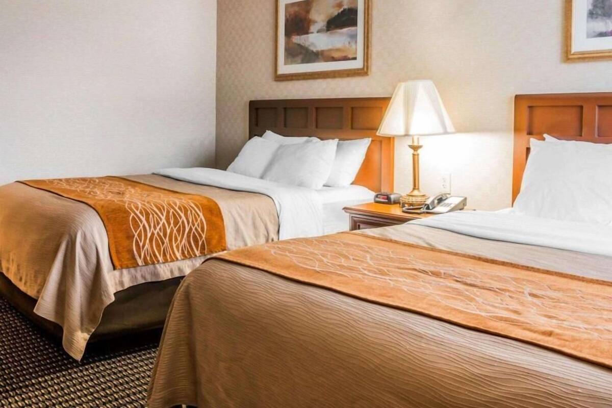 A hotel room with two beds, a nightstand with a lamp, and a framed picture on the wall.