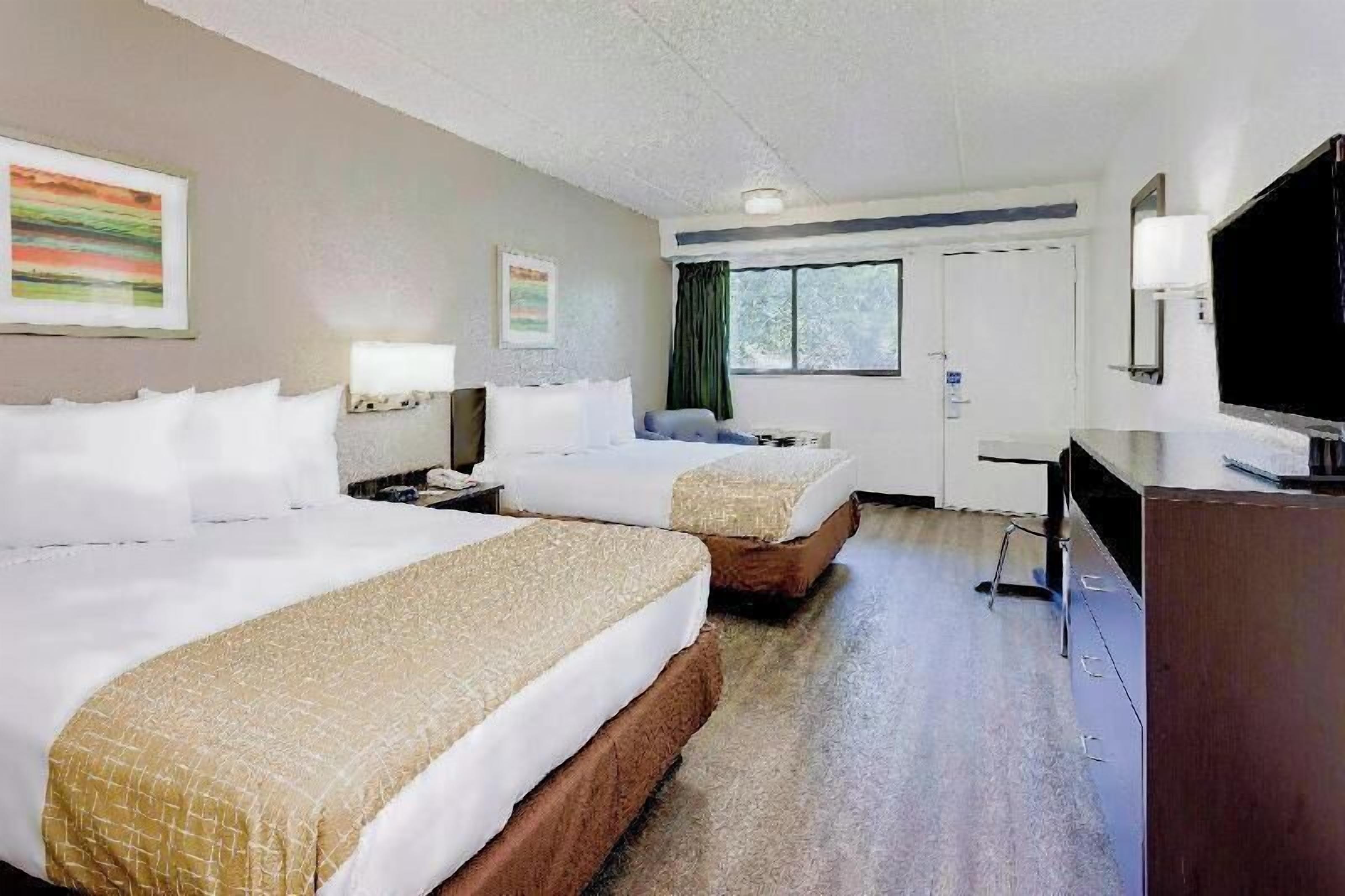 Wifi gratis, ropa de cama, despertador
