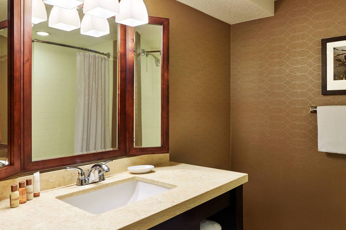Combined shower/bathtub, free toiletries, hair dryer, towels