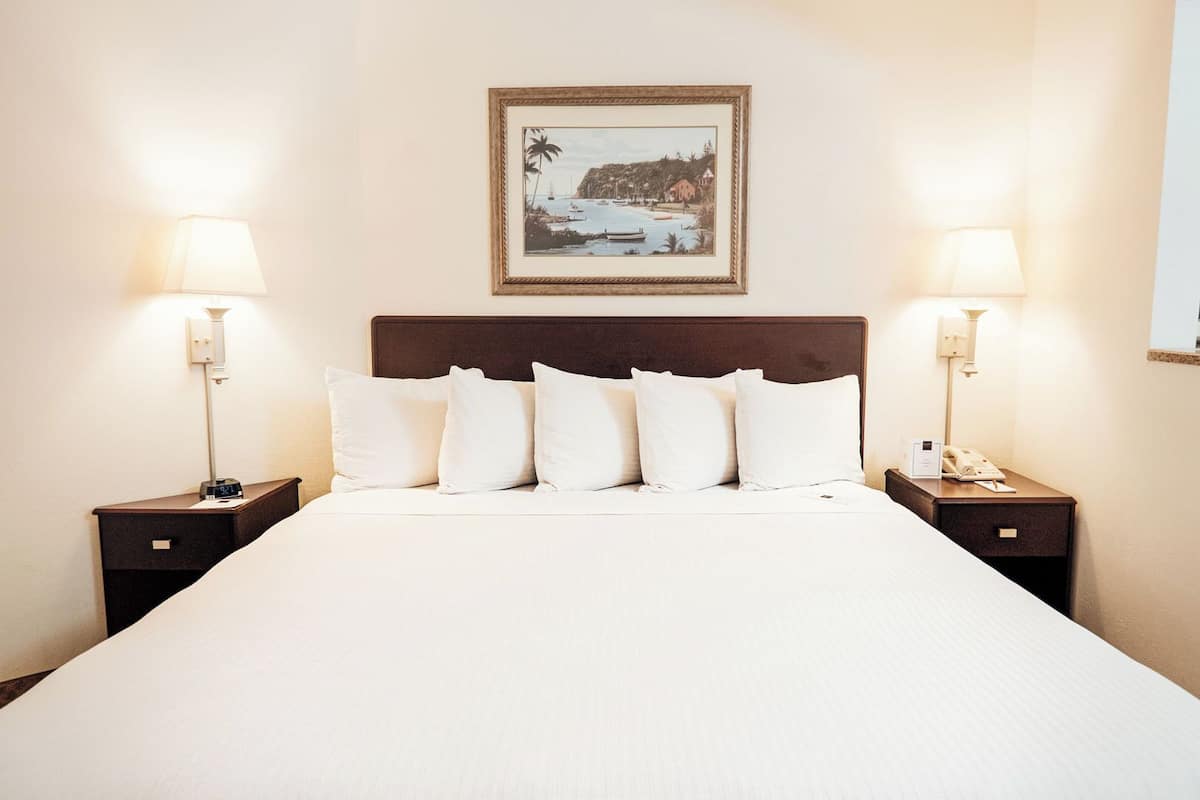 executive suite | hypo-allergenic bedding, desk, laptop workspace, blackout curtains