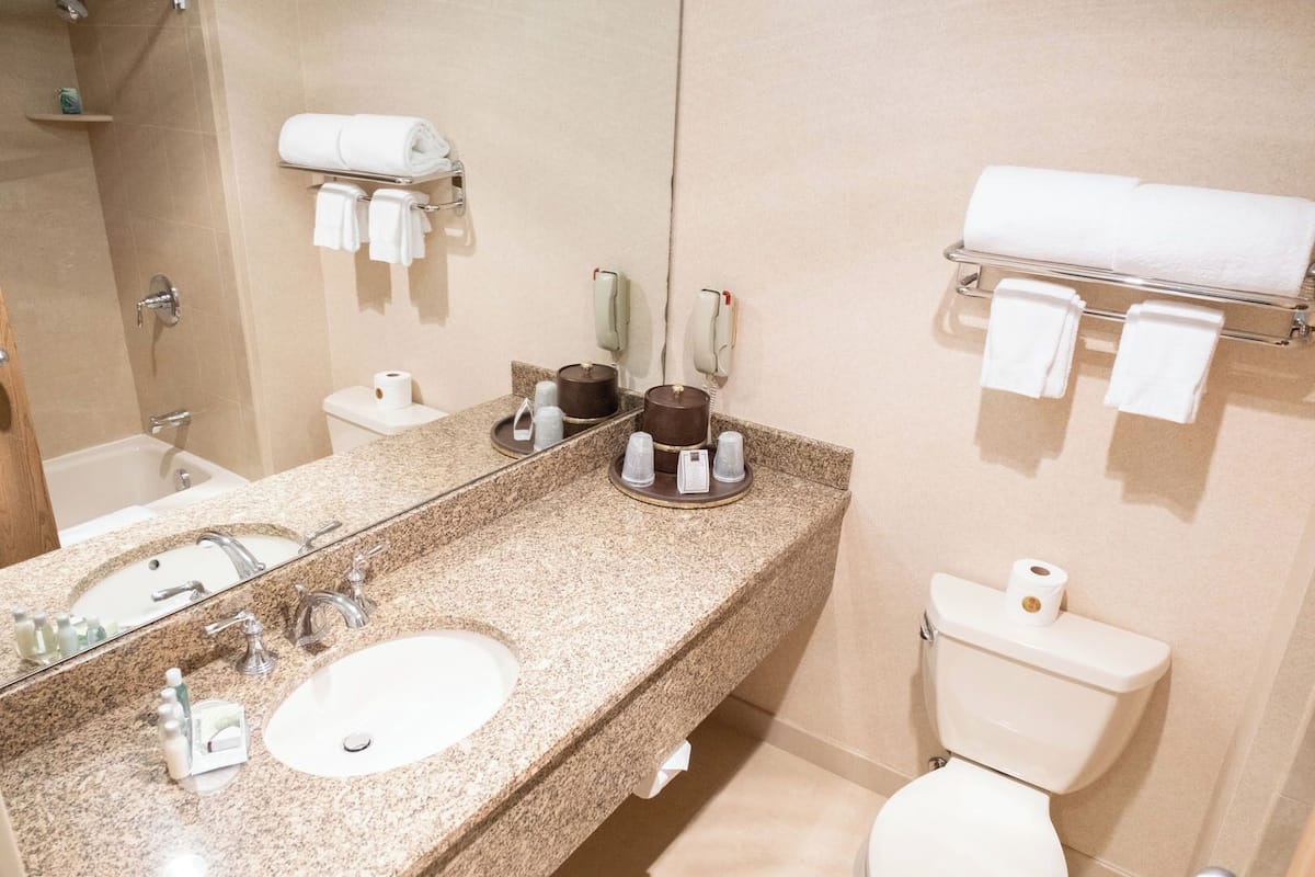 free toiletries, hair dryer, towels