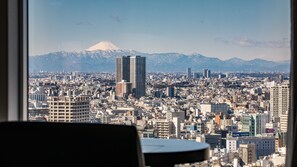 A cityscape with a prominent building and a mountain in the background.