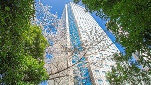 A tall building with a modern glass facade, surrounded by lush green trees and blooming white flowers. - Shinagawa Prince Hotel (Tokyo)