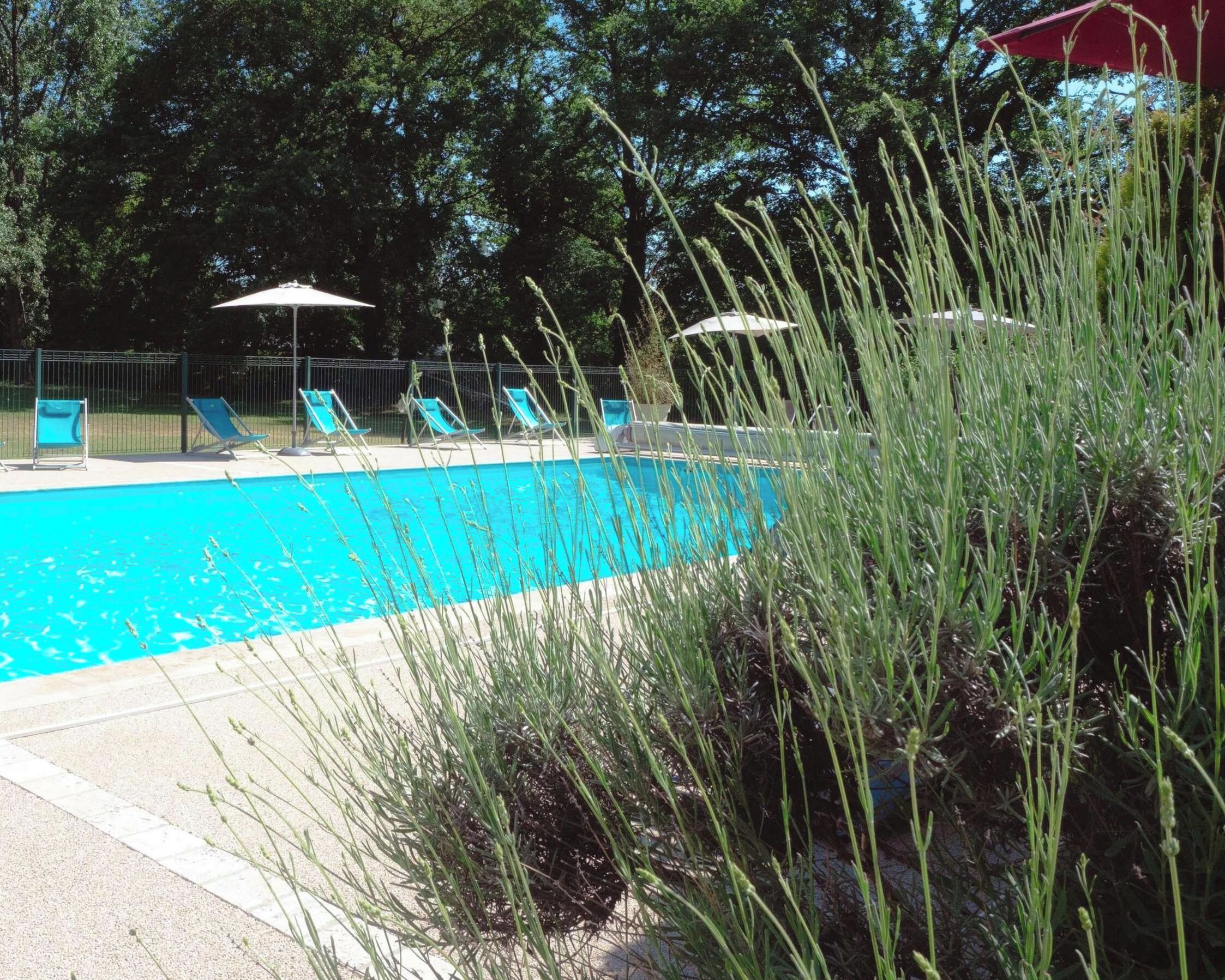 A swimming pool with lounge chairs and umbrellas, surrounded by greenery.