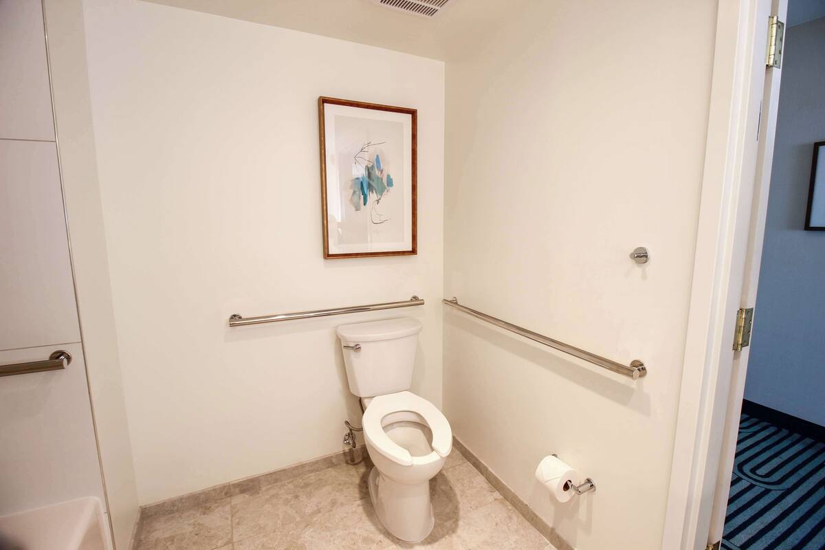 Une petite salle de bain blanche, équipée de toilettes, de barres d’appui, d’une œuvre d’art abstraque encadrée accrochée au mur et d’un tapis à rayures bleues à l’entrée.