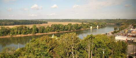 A river with a bridge, surrounded by dense trees and a small town in the distance.