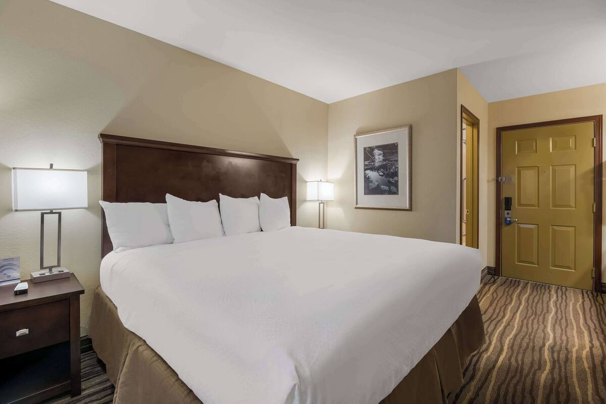 standard room, 1 king bed, non smoking, refrigerator & microwave | in-room safe, desk, laptop workspace, iron/ironing board