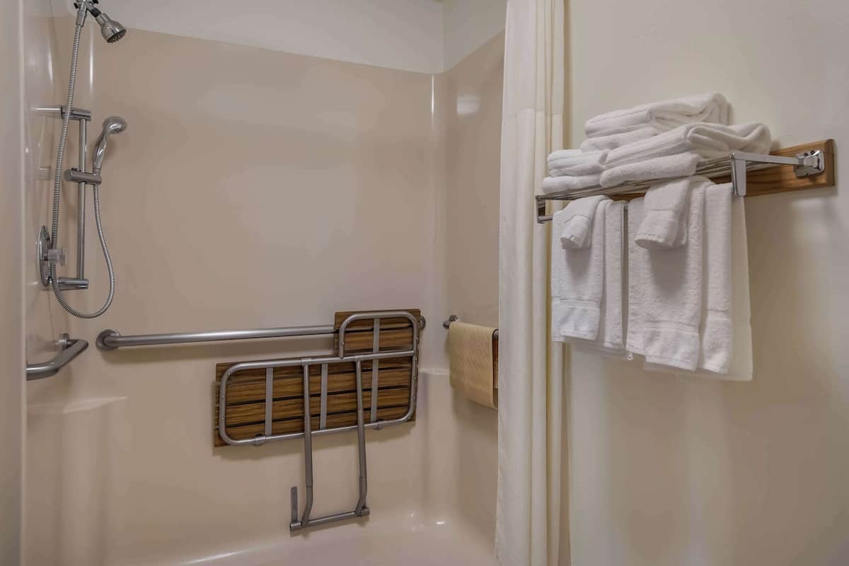 standard room, 1 king bed, accessible, refrigerator & microwave | bathroom | combined shower/bathtub, free toiletries, hair dryer, towels