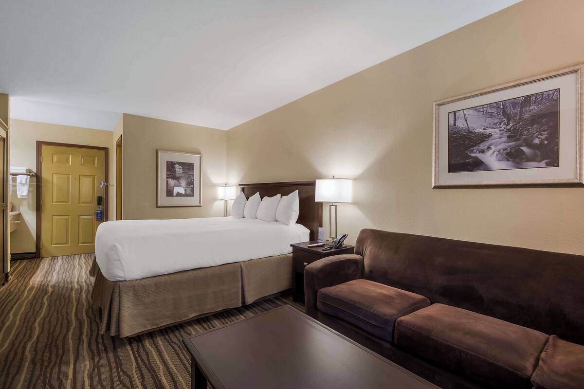 Une chambre d’hôtel avec un lit, un canapé, une table de chevet et un tableau encadré au mur.