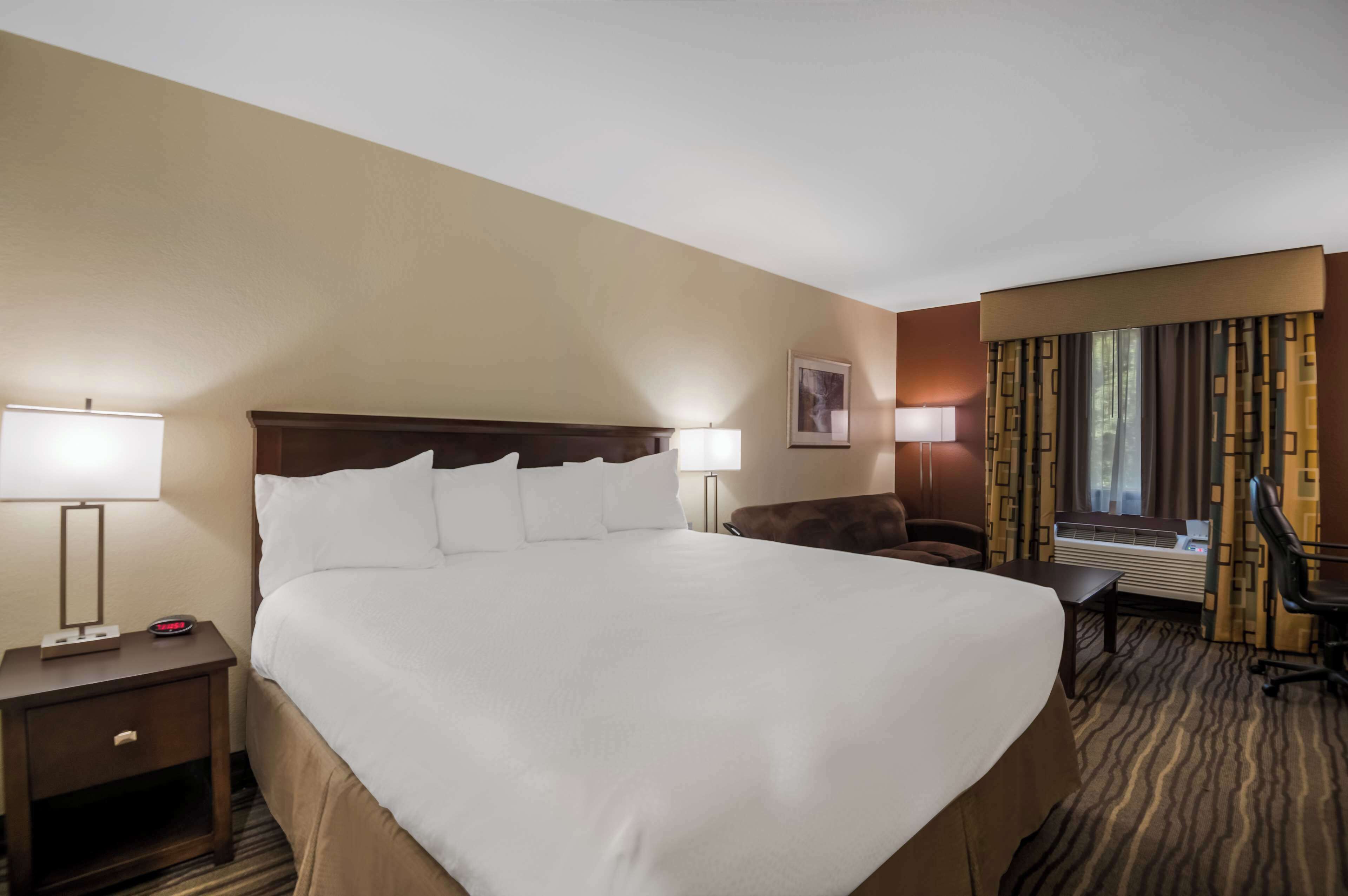 standard room, 1 king bed, non smoking, refrigerator & microwave (with sofabed) | in-room safe, desk, laptop workspace, iron/ironing board